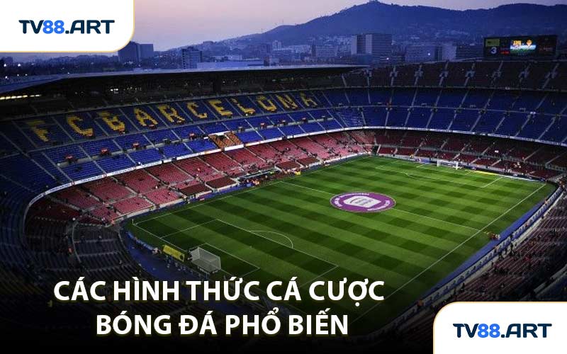 Các Hình Thức Cá Cược Bóng Đá Phổ Biến