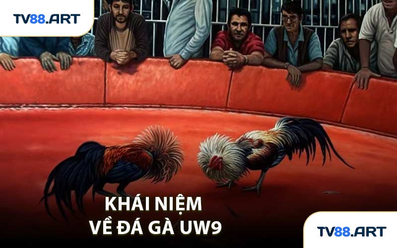 Khái Niệm Về Đá Gà UW9