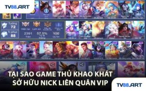 Tại Sao Game Thủ Khao Khát Sở Hữu Nick Liên Quân VIP