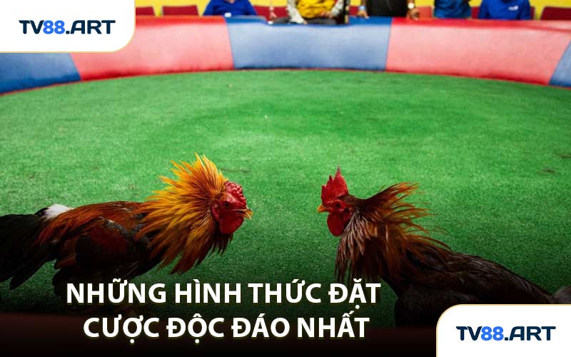 Những hình thức đặt cược độc đáo nhất