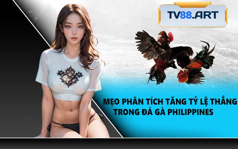 Mẹo Phân Tích Tăng Tỷ Lệ Thắng Trong Đá Gà Philippines