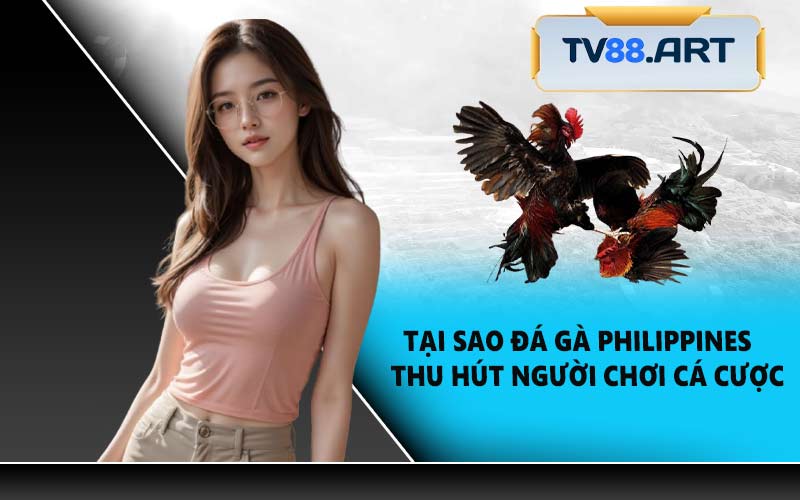 Tại Sao Đá Gà Philippines Thu Hút Người Chơi Cá Cược